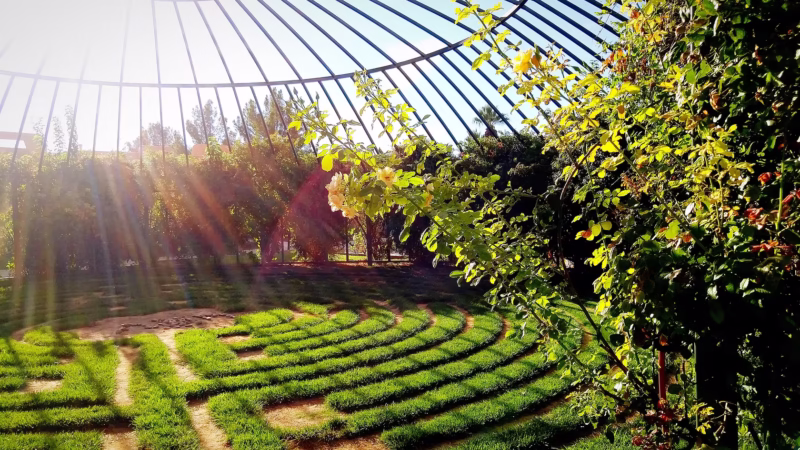 Terrassenbau Lübeck Jonasson Gartenpflege
