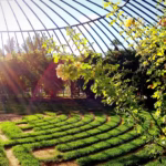 Terrassenbau Lübeck Jonasson Gartenpflege