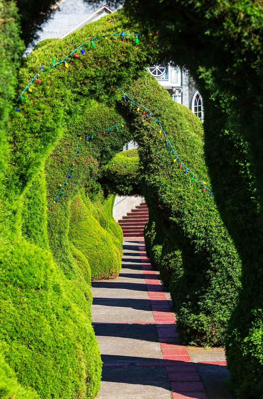 Terrassenbau Lübeck Jonasson Garten- und Landschaftsbau- Garten