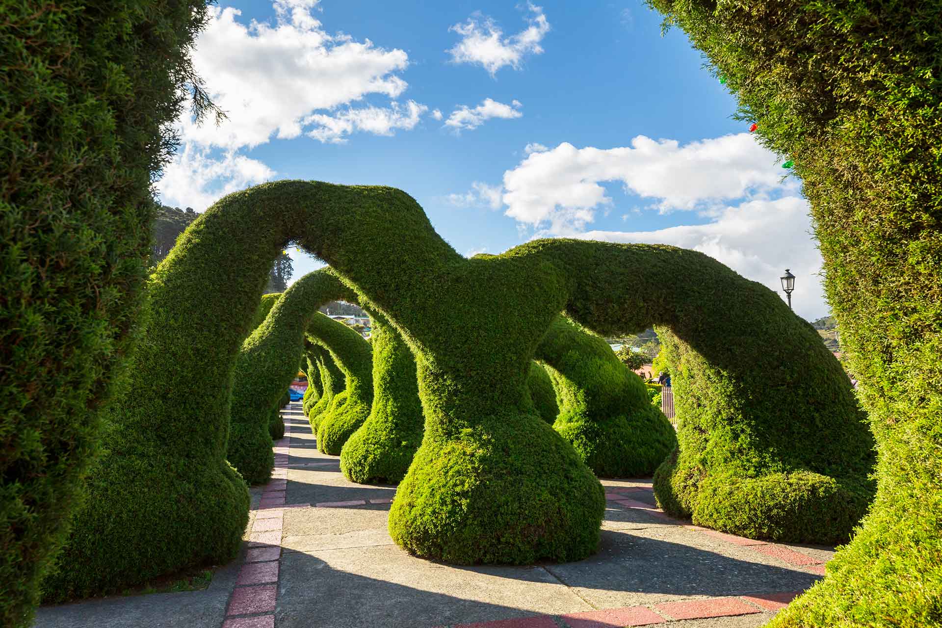 Terrassenbau Lübeck Jonasson Gartenpflege
